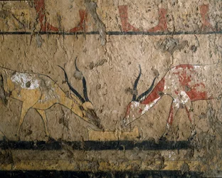 Antiquité égyptienne : élevage de bétail. Fresque de la tombe de la reine Neferou III. 12e dynastie. 2200-2000 av. J.-C. De El Ghebelen. Turin, musée égyptien
