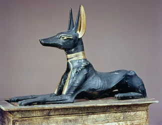 Anubis, dieu égyptien des morts provenant d