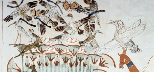 Canards, nids, papillons, chats et rongeurs, détail de la scène de chasse et de pêche dans les marais, fresque, mur nord, chambre longitudinale, Tombe thébaine TT69, Sheikh Abd el-Qurna, Thèbes. Civilisation égyptienne, Nouvel Empire, XVIIIe dynastie.