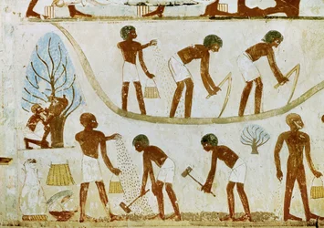 Agriculteurs en train de défricher, de semer et de labourer (peinture murale)