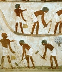 Agriculteurs en train de défricher, de semer et de labourer (peinture murale)