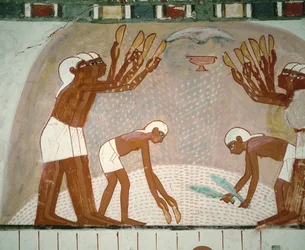 Agriculteurs vannant le grain (peinture murale)