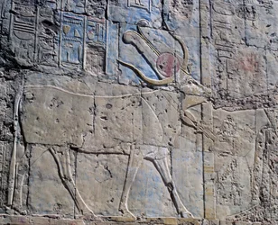 Déesse Hathor sous forme de vache sacrée, relief peint, Chapelle d