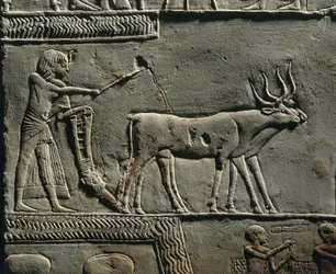 Horemheb labourant la terre dans les Champs d