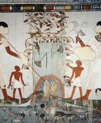 Menna et sa famille pêchant et chassant dans les marais du Nil, détail des fresques de la chapelle de la tombe de Menna, Nécropole de Sheikh Abd el Qurnah, Louxor, Thèbes (liste du patrimoine mondial de l