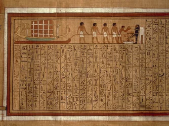 Papyrus du 