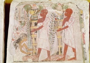 Préparation de deux momies pour la cérémonie de purification, de la tombe de Merymaat, Nouvel Empire