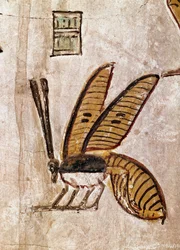 Art égyptien : Tombe de Sethi I (Sety I ou Seti I, règne de -1294 à -1279). Détail de l