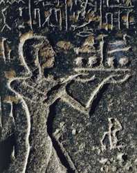 Statue en granit représentant le prince Mérenptah en adoration, dédiée au dieu Ptah