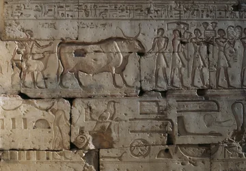 Relief, Temple de Ramsès II, Abydos, Égypte, civilisation égyptienne, Nouvel Empire, Dynastie XIX
