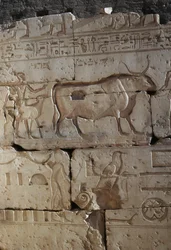 Relief, Temple de Ramsès II, Abydos, Égypte, Civilisation égyptienne, Nouvel Empire, XIXe dynastie