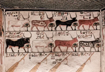 Tombe de Néfertari