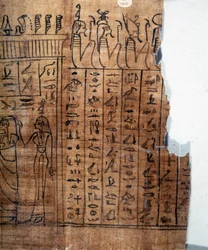 Le Livre des morts : hiéroglyphe égyptien sur un papyrus de la XXIIe dynastie. Détail. IXe siècle av. J.-C. Turin, Musée égyptien.