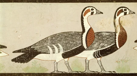Oies de Meïdoum, de la tombe de Néfermaât et Atet, Ancien Empire, vers 2620 av. J.-C.