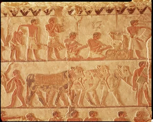 Relief peint représentant la collecte des impôts et un groupe de bovins, Ancien Empire