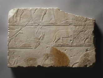 Relief avec animaux du désert, Ancien Empire, trouvé à Saqqarah, c.2472-2455 av. J.-C.