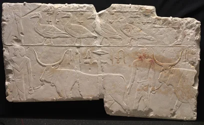 Relief d