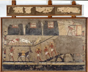 Antiquité égyptienne : le transport du blé sur le dos des mules et des hommes