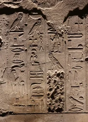 Hiéroglyphes. Temple de Louxor (relief)