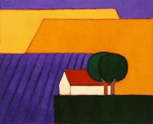 Champ de Lavande, Provence, 2004