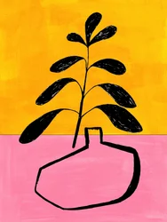 Plante en pot aux couleurs vives