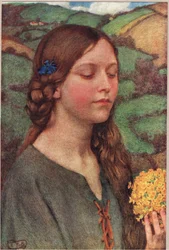 Bouquet de fleurs, illustration de 