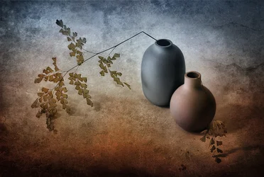 Fougères délicates et vases