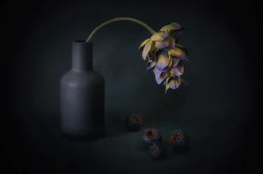 Fleur et baies dans l