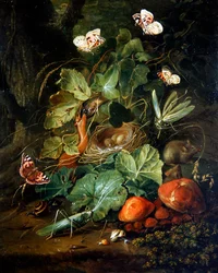 Une nature morte de sol forestier avec des fruits et des papillons
