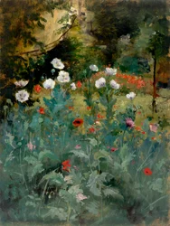 Coquelicots, fin 19ème-début 20ème siècle