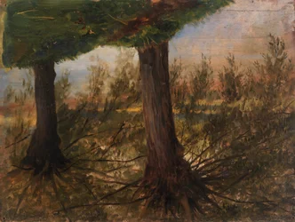 Arbres près d