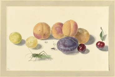 Pêches, prunes, cerises et deux insectes