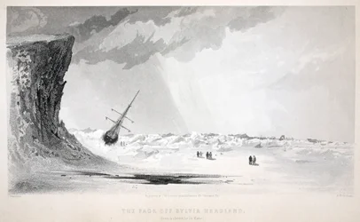 Le Pack au large de Sylvia Headland, illustration de 