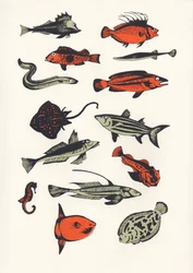 Poisson orange, 2016