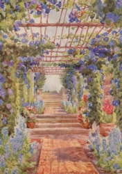 Pergola couverte d
