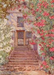 Lauriers roses et blancs, Alphen, Wynberg (lithographie couleur)