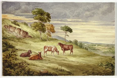 Parc aux cerfs, peut-être Kilkenny