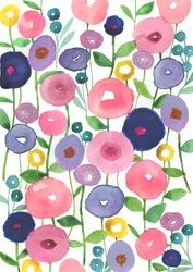 Coquelicots en fleurs