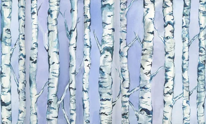Forêt de Silverbirch, 2018 (aquarelle et acrylique)