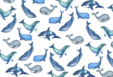 Baleines, 2017 (aquarelle)