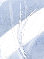 Dans la lumière du soir, chaque créature, planant à sa place légitime, et dans des mouvements merveilleux, faisait écho à la danse majestueuse des anges au ciel