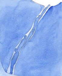 De nombreuses étapes de purification sont nécessaires pour rendre une âme pécheresse apte au Ciel, capable de supporter la lumière du Ciel