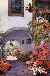 Azalées dans un jardin portugais