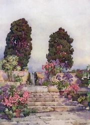 Jardins botaniques, Orotava