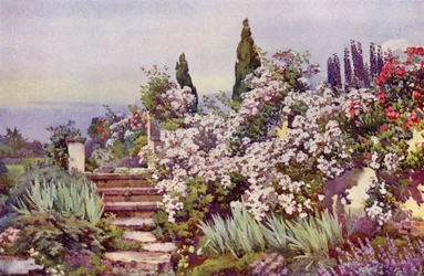 Les marches du jardin