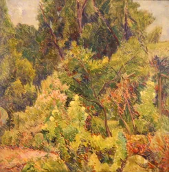Jardin près d