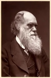 Charles Darwin : naturaliste anglais