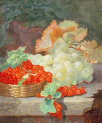 Groseilles et raisins, 1864