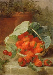 Fraises dans une feuille de chou, 1891