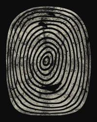 Anneaux grunge concentriques